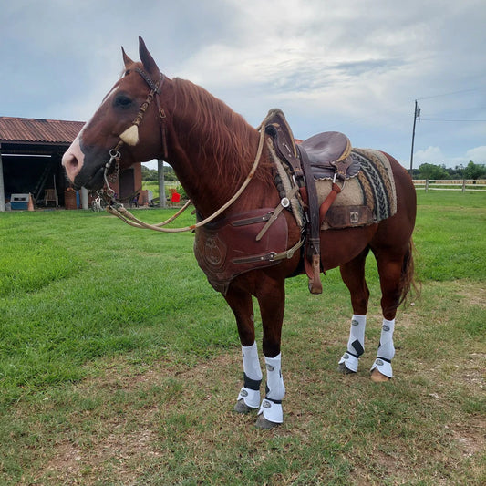 HOOF ARMOR BELL BOOTS