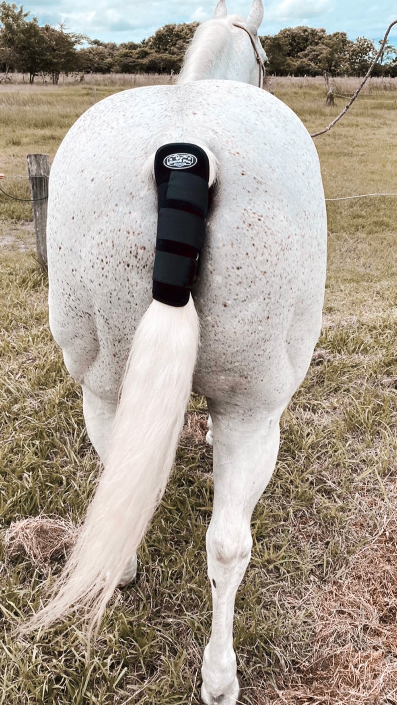 PROTECTIVE TAIL WRAP